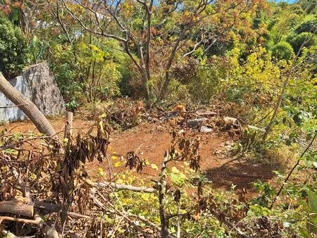 terrain construitible a vendre