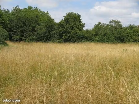 terrain 2 018 m² mansle