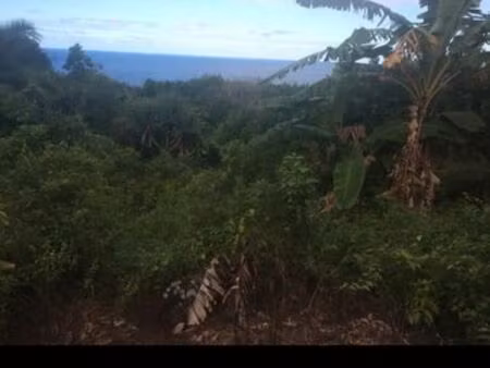 terrain constructible