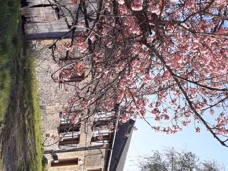 location d'une maison avec terrain attenant