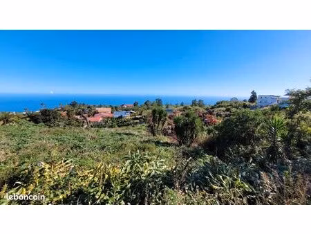 terrain plat les avirons