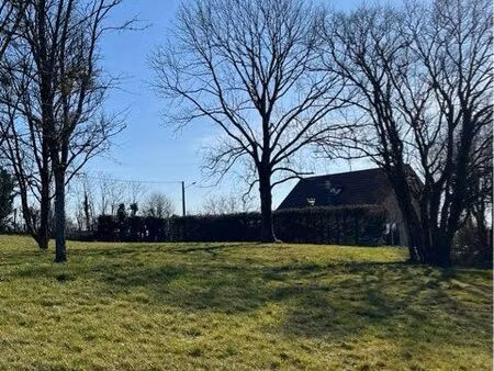 terrain constructible