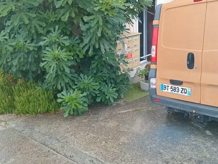 vente viager 125 m2 centre dijon