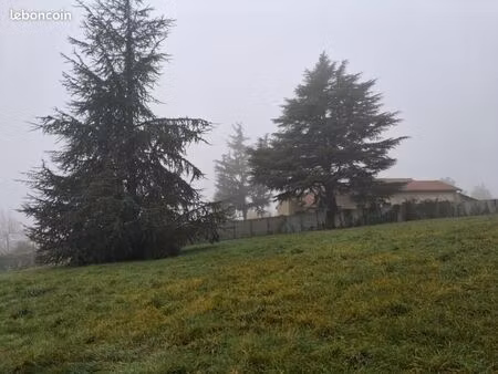 terrain 435 m² marges