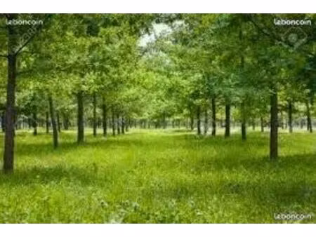 terrain animaux / jardin