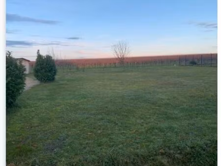 terrain à construire