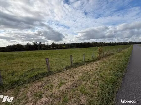 terrain 4903 m² venise