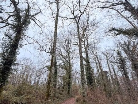 recherche parcelle bois/forêt