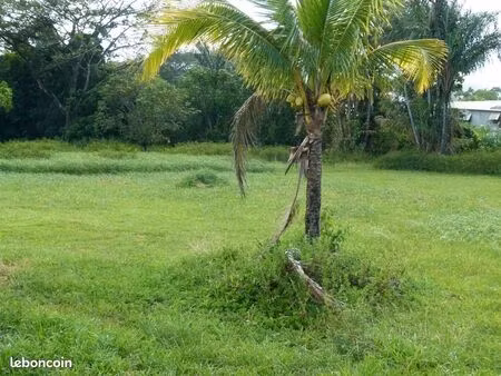 local industriel 27 000 m²