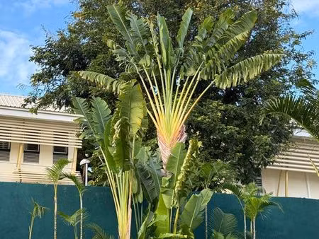 belle maison plein pied