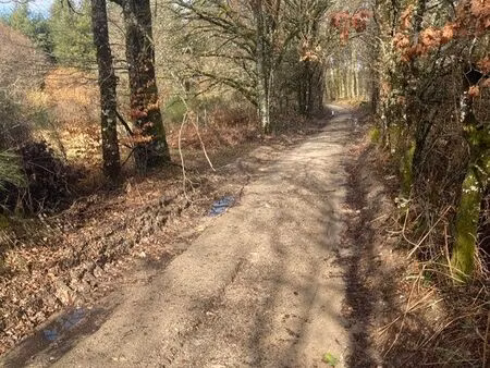 terrain constructible + agricole + forêt