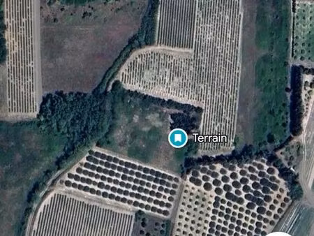 vends terrain agricole