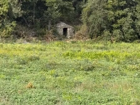 terre agricole st victor la coste