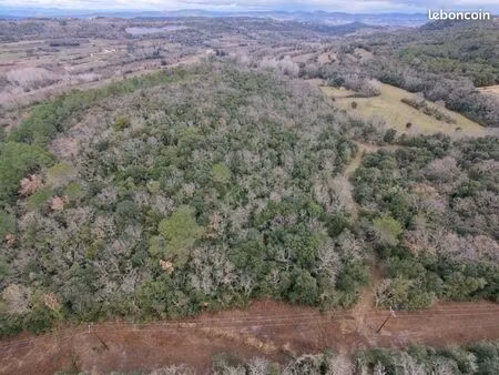 à vendre – ensemble forestier de 6 hectares