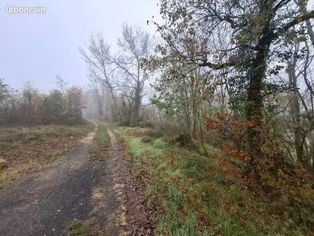 terrain 25154 m² saint-léon-sur-vézère