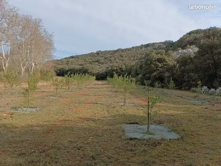 terrain agricole amandiers