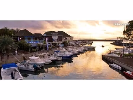 restaurant à vendre port de saint-gilles