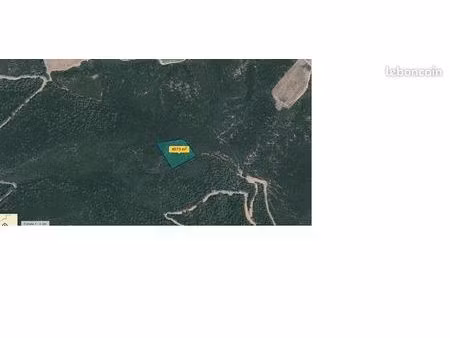 terrain friches landes bois