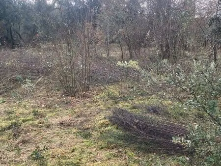 terrain constructible à carlux