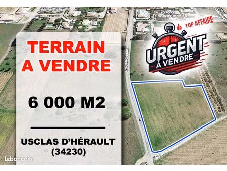 a vendre terrain de 6000 m2 (34230)