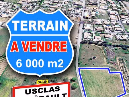 terrain de 6000 m2 - bon plan et investissement