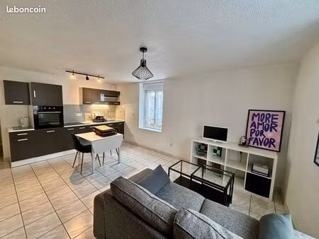 t3 duplex meublé – 58 m² au sol – cœur de renage