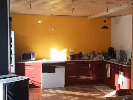 bel appartement central avec jardin