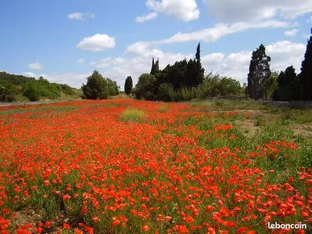 recherche maison a louer