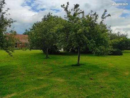 terrain 1 000 m² tourny