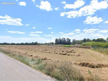 terrain agricole 9660m2