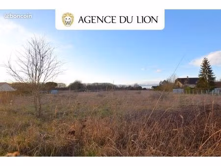 terrain 1 655 m² muzy