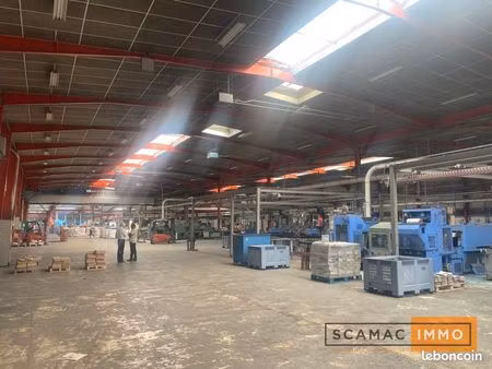 local industriel 11 491 m²