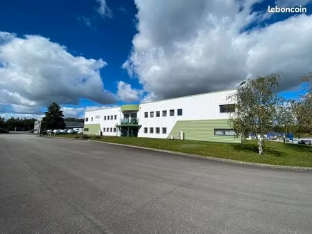 local d'activité 5 650 m²
