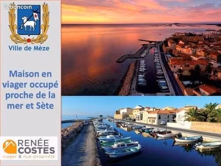 maison en viager 3 pièces 58 m²