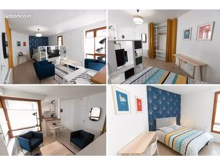 grand studio meublé quartier st michel