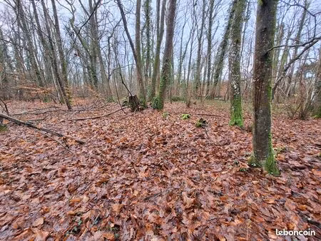 parcelles de bois à meillac