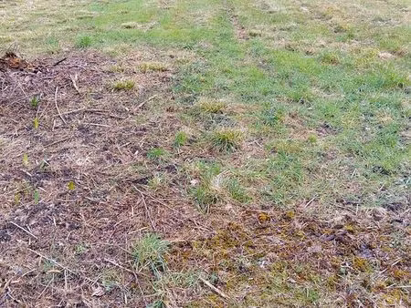 terrain à bâtir viabilisé