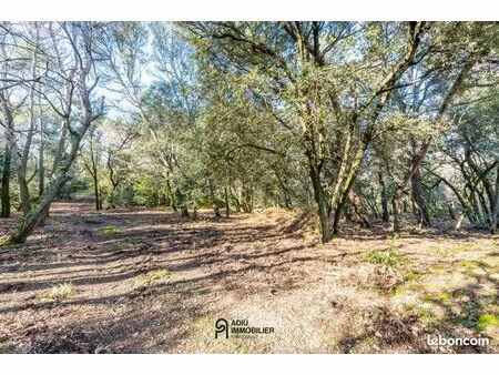 terrain 3 367 m² orsan