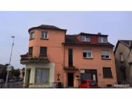 immeuble 350m² 3 appartements+2 locaux commerciaux+1 garage+caves