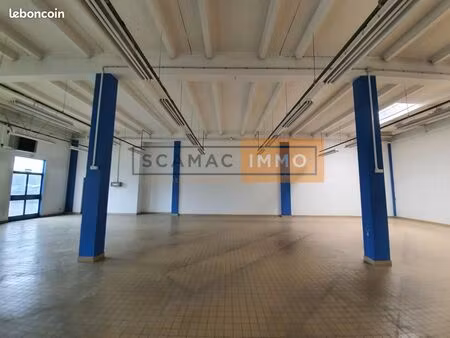 local d'activité 497 m²