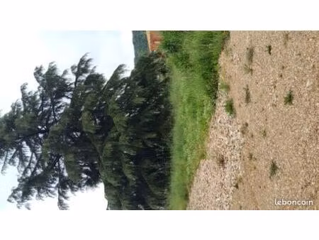 terrain 1435 constructible