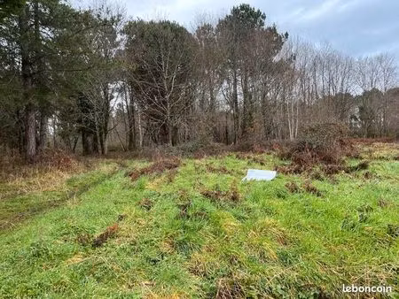 terrain 1 443 m² mios