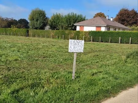 terrain constructible