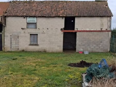 terrain idéal investisseur