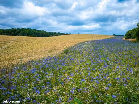 terrain agricole 120000m2
