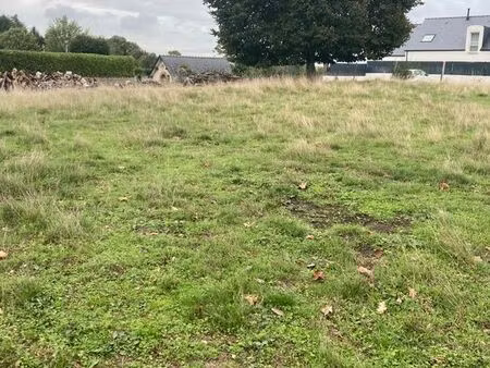 terrain constructible