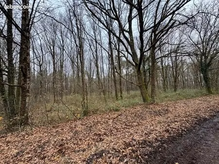 terrain 31 496 m² villefranche sur cher