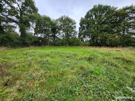 terrain 993 m² le tronchet