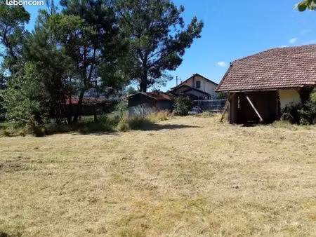 terrain agréable contre foret