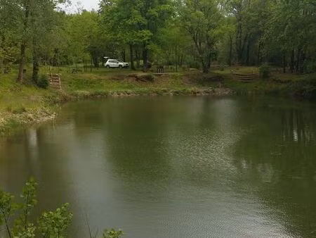 parcelles de bois avec étang